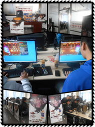 全國格斗大賽省賽首戰(zhàn)場館啟用先進(jìn)網(wǎng)絡(luò)設(shè)備，助力賽事直播與銷售新機(jī)遇